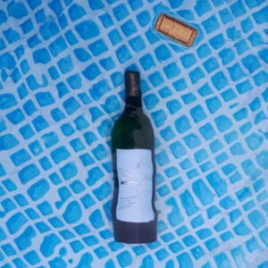 Château de Piote, Vin des Potes, Colombard